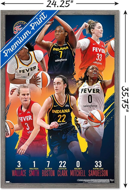 Trends International WNBA Indiana Fever -Team 24 Wall Poster, 34L x 22.4W, Barnwood Framed Version