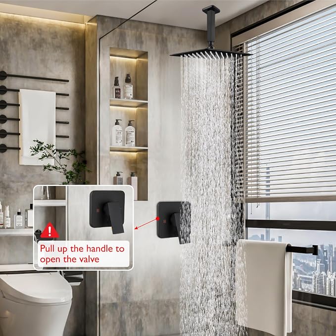 Heyalan 10-Inch Ceiling Mount Shower Faucet Set with Valve, Matte Black | Rainfall shower head, ceiling-mount design, SUS304 steel, adjustable angle, single-handle control