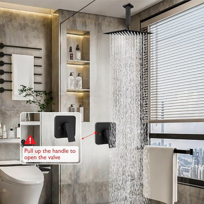 Heyalan 10-Inch Ceiling Mount Shower Faucet Set with Valve, Matte Black | Rainfall shower head, ceiling-mount design, SUS304 steel, adjustable angle, single-handle control