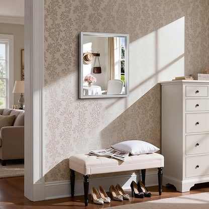 CIRCUMI 18"x24" Silver Mirror with Chunky Box Metal Frame, Brushed Finish Rectangular Bathroom Mirrors for Over Sink, Living Room, Entryway, Tempered Glass Mirror for Wall, Vertical or Horizontal
