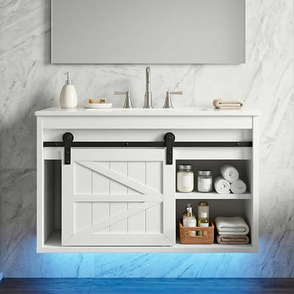 DWVO 24" LED Bathroom Vanity with Sink, Farmhouse Sliding Barn Door Bathroom Cabinet, Bathroom Vanities, Wall Mounted Floating Cabinet for Small Spaces
