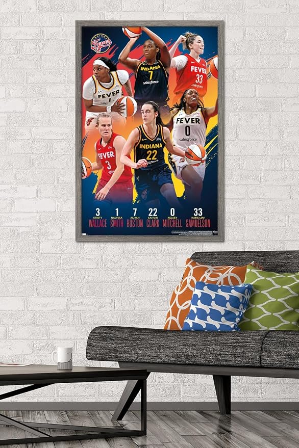 Trends International WNBA Indiana Fever -Team 24 Wall Poster, 34L x 22.4W, Barnwood Framed Version
