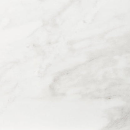 Daltile Perpetuo 24" X 24" Porcelain Marble Look Floor Tile in Matte Brilliant White (4 pieces per carton) (15.20 sqft per carton)
