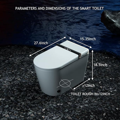 Modern Smart Toilet, One Piece Toilet with Auto Open/Close Lid, Heated Seat, Bidet Function, Warm Air Dry, Foam Shield, Auto Deodorization, Night Light, Remote Control