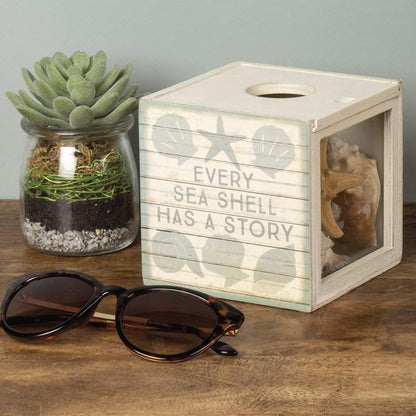 Primitives by Kathy Seashell Holder - Coastal Decor, Glass Display, Treasure Chest, Room and Bedroom Decor
