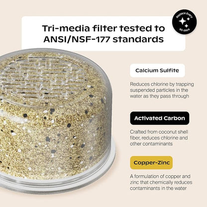 Canopy Mini Filtered Shower Head - Compact Filter for Hard Water - Brass