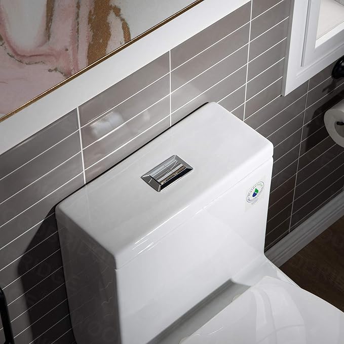 WOODBRIDGE One Piece 1.1GPF/1.6 GPF Dual Flush Elongated Toilet with Advance Smart Toilet in White