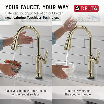 Delta Renaldi Kitchen Faucet with Pull Down Sprayer, Brushed Nickel Kitchen Sink Faucet, Delta ProClean, Lumicoat Polished Nickel 9184TL-PN-PR-DST