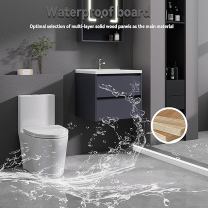 Dark Gray Floating Bathroom Vanity with Sink, 23x18 Inch Wall Mounted Bathroom Cabinet with 2 Drawers, Modern Single Sink Vanity for Small Bathroom, Space-Saving Storage Cabinet