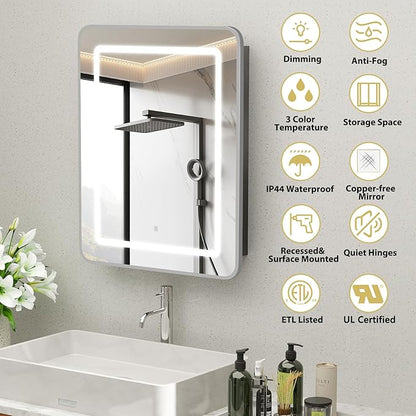 ROOMTEC Lighted Medicine Cabinet with Mirror 20"x30", Wall Mounted Bathroom Mirror with Storage, Single Doors Bathroom Wall Cabinet with LED Lights,Silver