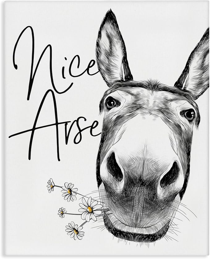 Funny Donkey Bathroom Comic, 30 x 40 Inch Canvas Wall Art | Stupell Industries | 30 x 40 Inches, Easy to Hang and Sturdy, Made in USA, by Lettered and Lined
