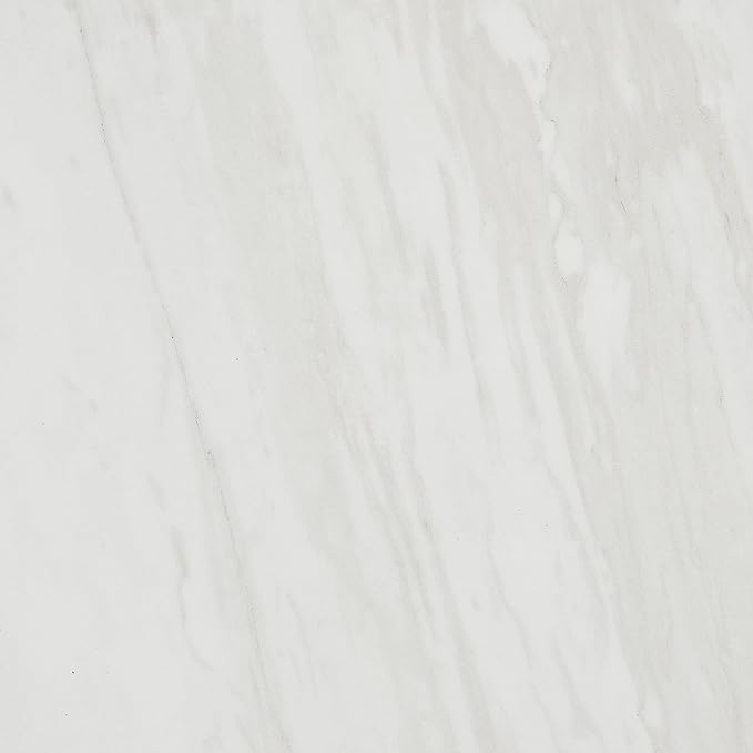 Daltile Perpetuo 24" X 24" Porcelain Marble Look Floor Tile in Matte Timeless White (4 pieces per carton) (15.20 sqft per carton)