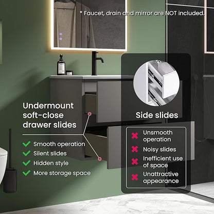 24" Bathroom Vanity with Sink, Modern Floating Vanity with Double Soft Closing Drawers, Large Storage for Small Space, Space Gray, Fully Assembled - Iris Collection