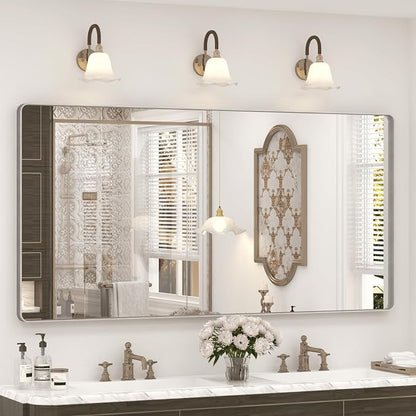 60x28 Inch Brushed Silver Bathroom Mirror for Wall | Silver Nickel Framed Bathroom Vanity Mirror, Rounded Rectangle, Anti-rust, Shatterproof (Horizontal/ Vertical)