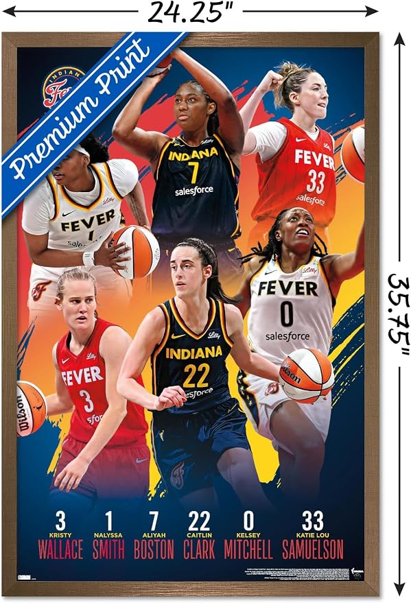 Trends International WNBA Indiana Fever -Team 24 Wall Poster, 34L x 22.4W, Bronze Framed Version