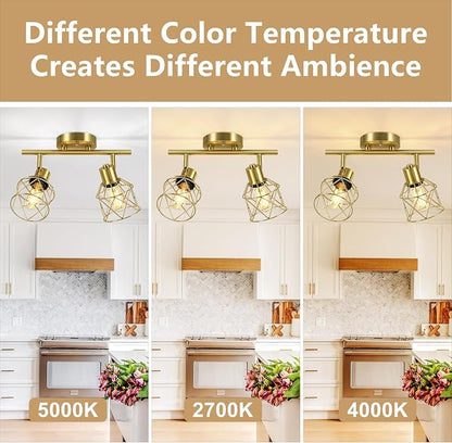 Baocuz 2-Lights Kitchen Track Lighting Ceiling, Adjustable Multi-Directional Gold Ceiling Light Fixtures, Rotatable Farmhouse Light Fixtures Ceiling Mount with Metal Cage for Dining Room, Living Room