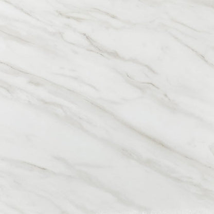 Daltile Perpetuo 24" x 24" Marble Look Porcelain Floor Tile in Polished Timeless White for Kitchen, Bathroom, Living Room Floors | (4 PC Per Carton) (15.2 SQFT Per Carton)