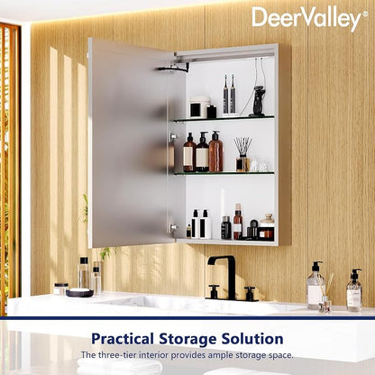 DeerValley 24" W x 36" H Led Lighted Medicine Cabinet with Mirror | Bathroom Medicine Cabinet with Defogger & 3-Color, Wall Mounted Mirrored Medicine Cabinets with Lights, DV-1VM0187