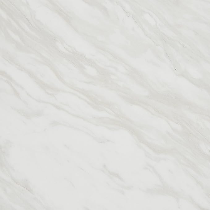 Daltile Perpetuo 24" X 24" Porcelain Marble Look Floor Tile in Matte Timeless White (4 pieces per carton) (15.20 sqft per carton)