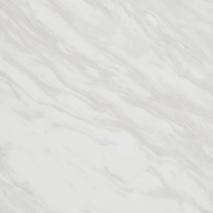 Daltile Perpetuo 24" X 24" Porcelain Marble Look Floor Tile in Matte Timeless White (4 pieces per carton) (15.20 sqft per carton)