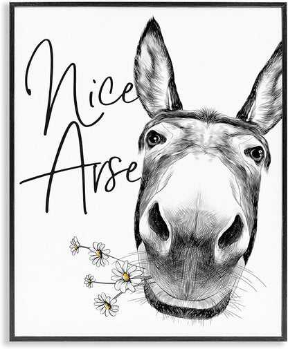 Stupell Industries 'Nice Arse Donkey Pun', Framed Giclee Art, Black, 16 x 20 Inches, Easy to Hang and Sturdy, Made in USA, by Lettered and Lined