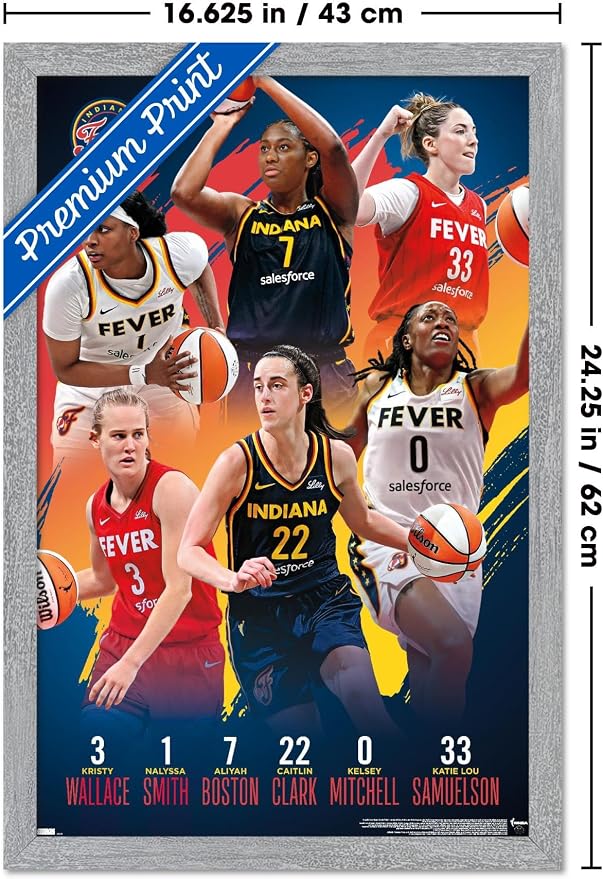 Trends International WNBA Indiana Fever -Team 24 Wall Poster, 22.4L x 14.7W, Gray Framed Version