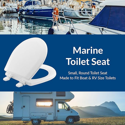 BEMIS TC50TTA MARINE Toilet Seat, Small Toilet Seat Made for Boats and RVs, Durable Wood, White (Pack of 2)