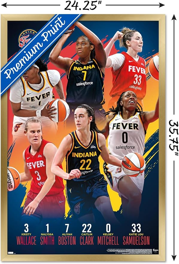 Trends International WNBA Indiana Fever -Team 24 Wall Poster, 34L x 22.4W, Gold Framed Version