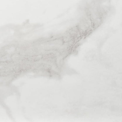 Daltile Perpetuo 24" X 24" Porcelain Marble Look Floor Tile in Matte Brilliant White (4 pieces per carton) (15.20 sqft per carton)