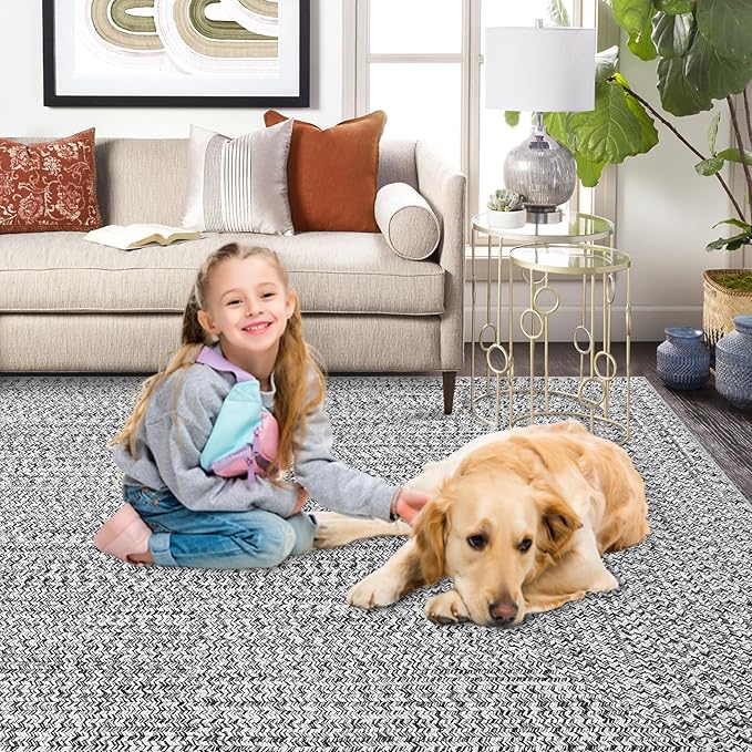 Modern Washable Rugs 8x10 Rug for Living Room Soft Bedroom Rug Farmhouse Large Area Rug Non Slip Throw Rugs Non Shedding Stain Resistant Carpet for Nursery Dining Room 8'x10' Light Grey