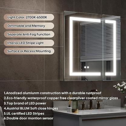 WELLFOR 30" X 30" Bathroom LED Medicine Cabinet with Mirror, Medicine Cabinet with Lights, Bathroom Mirror with Storage, Dimmer, Defogger, Outlets & USB Ports, Double Doors