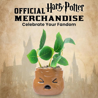 Silver Buffalo Harry Potter Mandrake Face, Artificial Faux Planter | Decorative, Greenery Plant in, Ceramic Pot