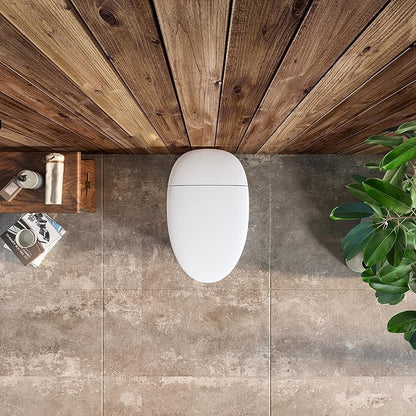 Smart Toilet with Basic Intelligent Function, Elongated Tankless Smart Toilet with Heated Seat, Auto Flush, Foot Kicking Flush, Night Light